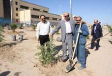 گزارش تصویری مراسم روز درخت کاری و تقدیر از نیروهای باغبانی دانشگاه